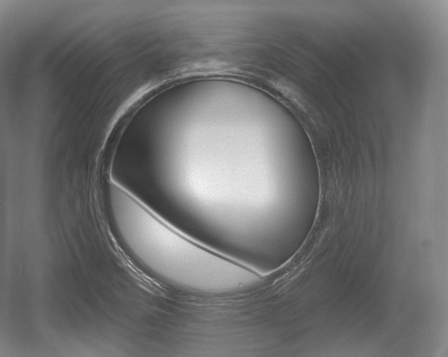 X0000055971458200508190651