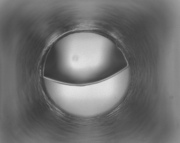 X0000055971459200508190651