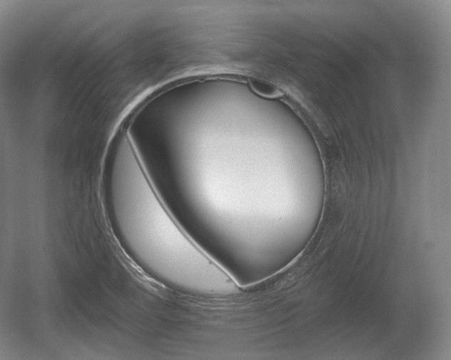 X0000055971460200508190651