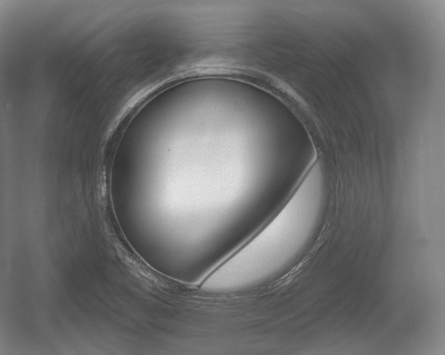 X0000055971461200508190651