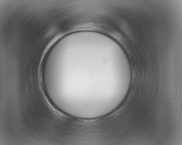 X0000055971466200508190650
