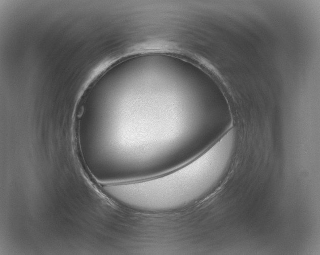 X0000055971469200508190650