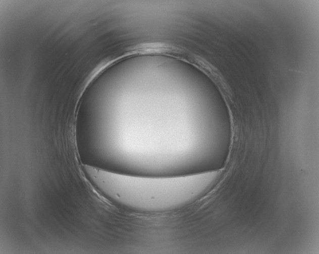 X0000055971473200508190650