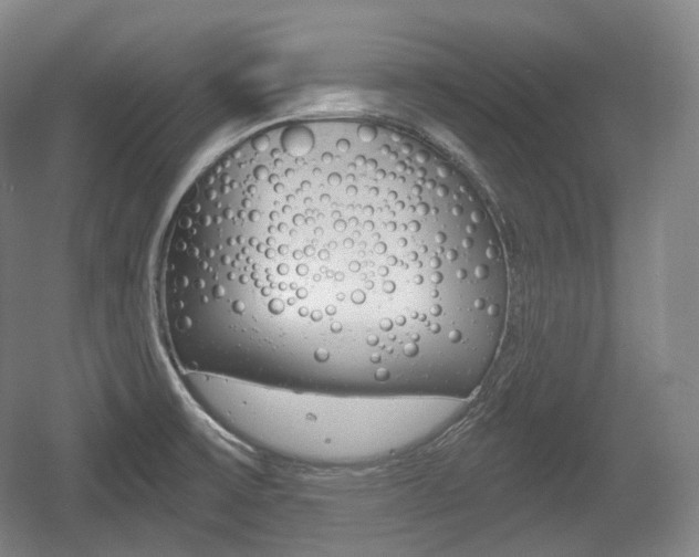 X0000055971475200508190650