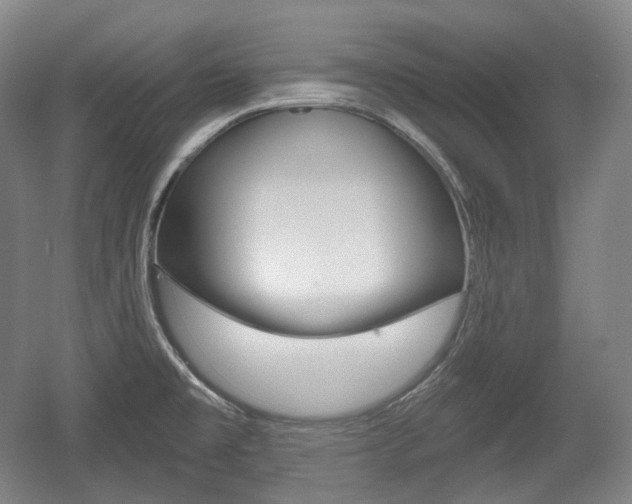 X0000055971477200508190650