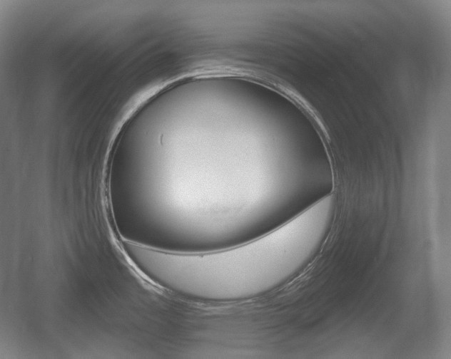 X0000055971485200508190650
