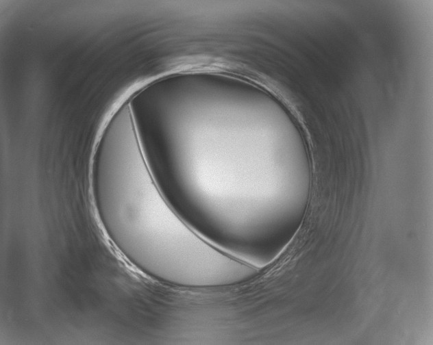 X0000055971488200508190650