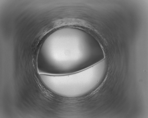 X0000055971497200508190649