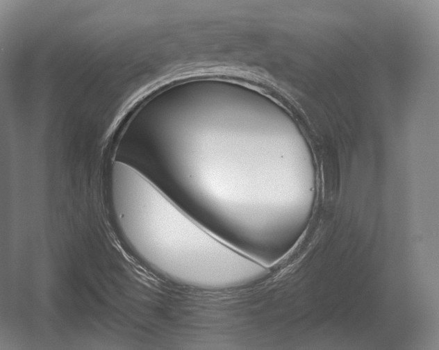 X0000055971501200508190649