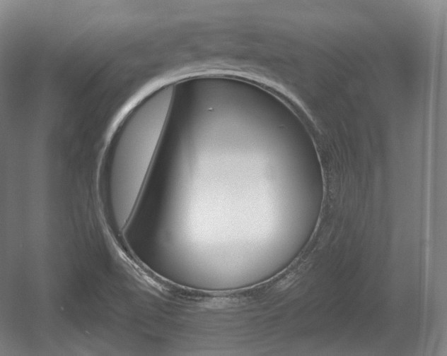 X0000055971510200508190650
