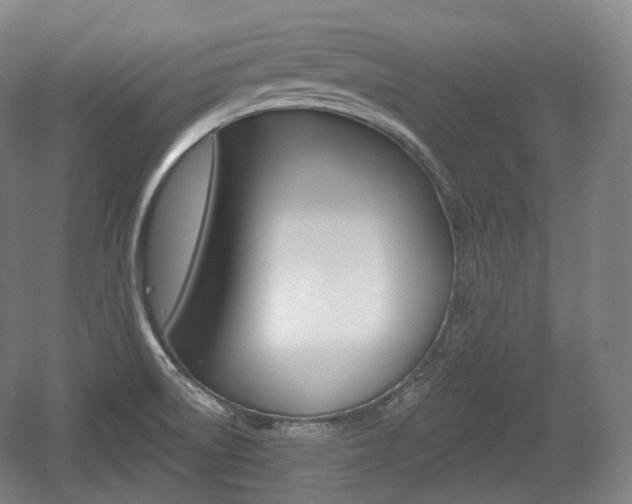 X0000055971522200508190650