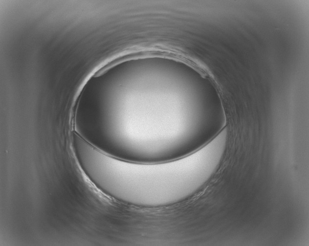 X0000055971524200508190650