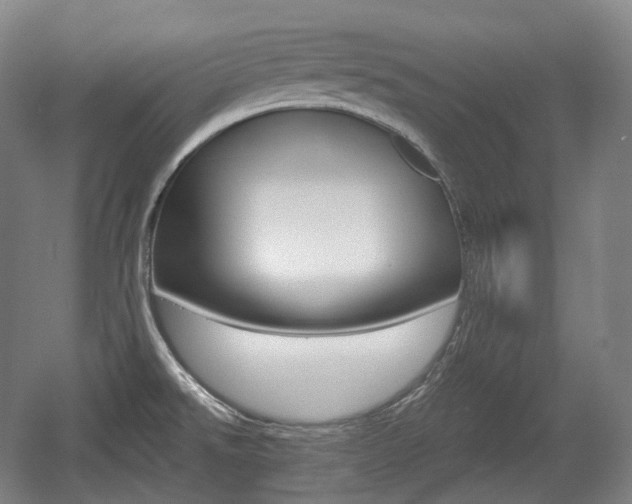X0000055971526200508190650