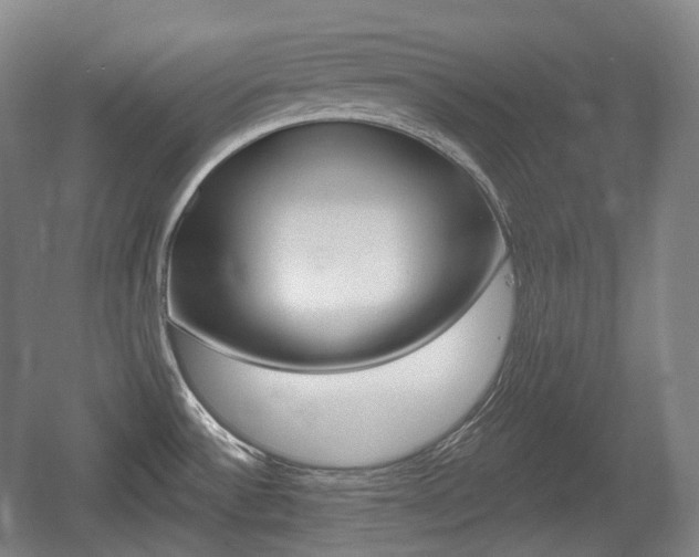 X0000055971532200508190650