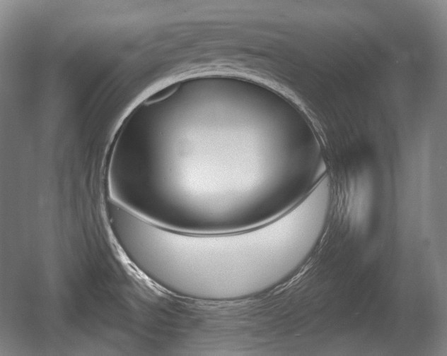 X0000055971534200508190650