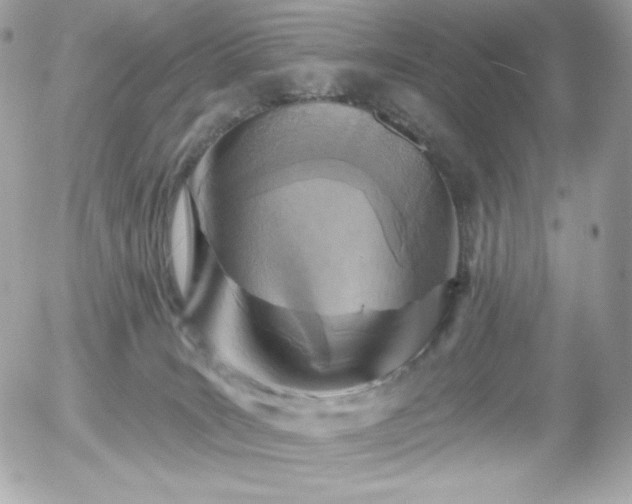 X0000055970035200508191218