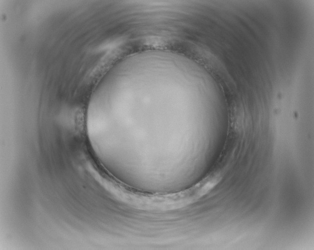 X0000055970036200508191218