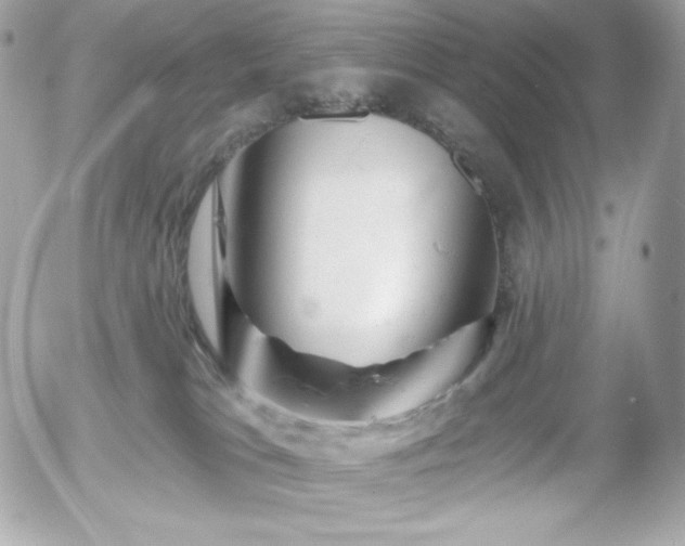X0000055970037200508191218