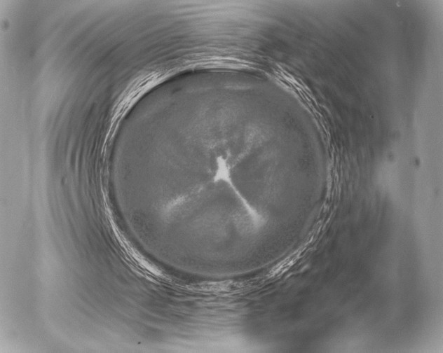 X0000055970049200508191217