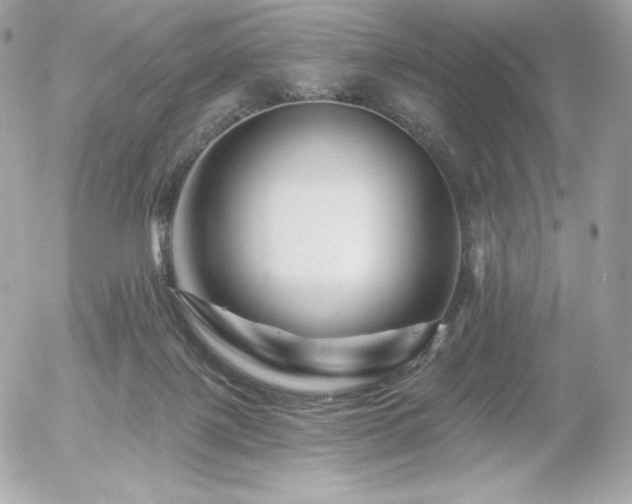 X0000055970075200508191218