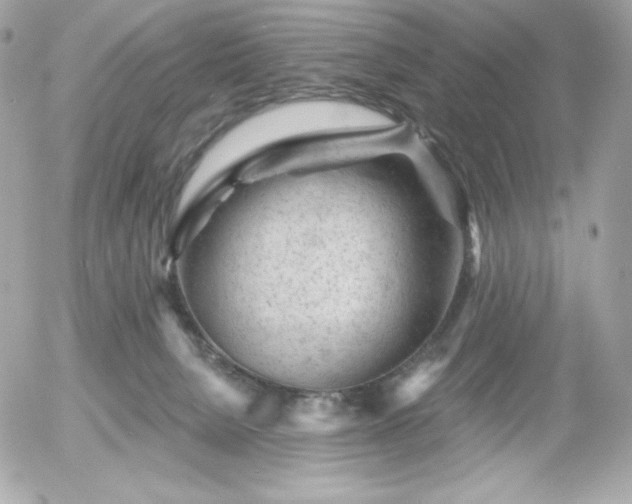 X0000055970080200508191218