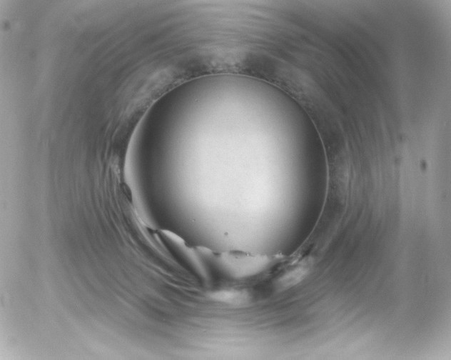 X0000055970083200508191218