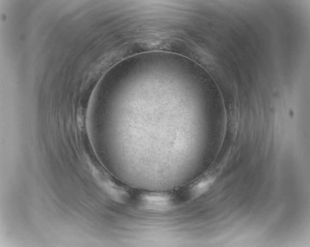 X0000055970085200508191218