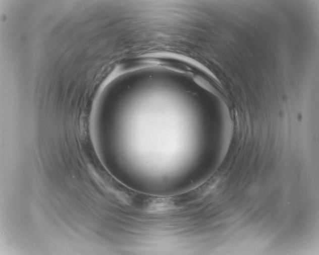 X0000055970088200508191218