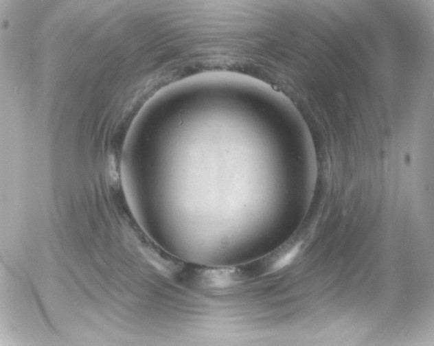 X0000055970089200508191218