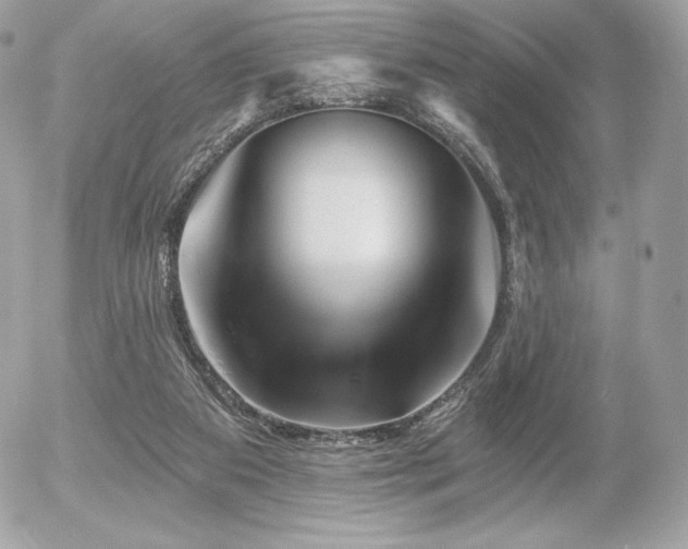 X0000055970113200508191217