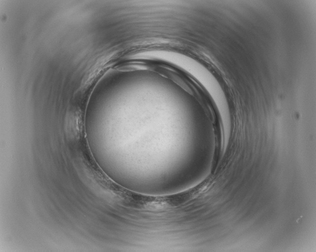 X0000055970119200508191217