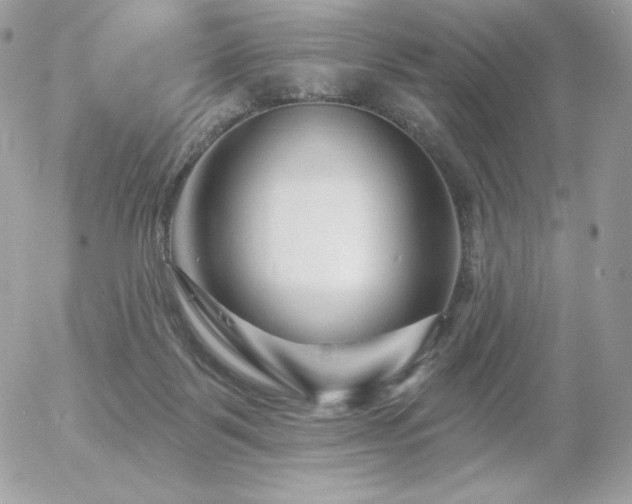 X0000055970123200508191217