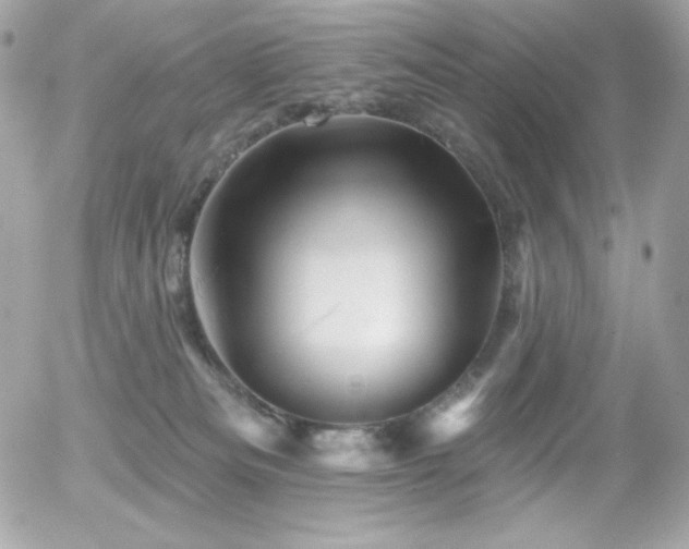 X0000055970133200508191217