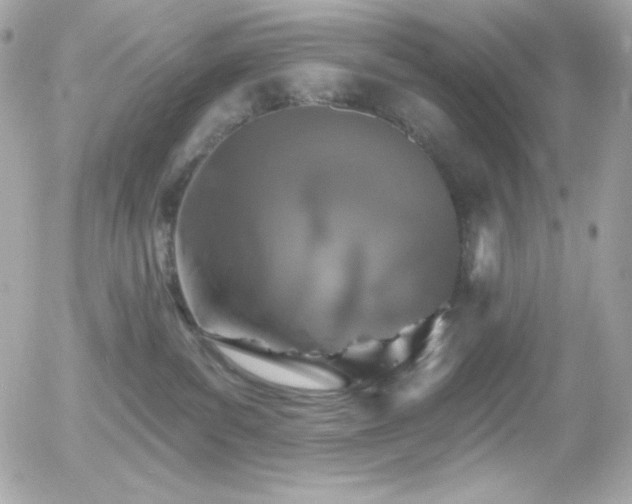 X0000055970139200508191217