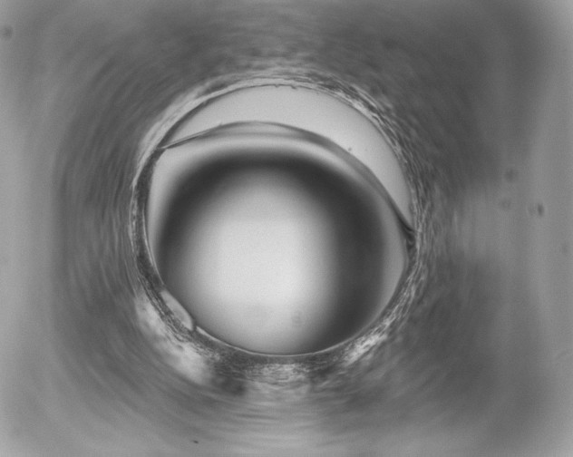 X0000055970152200508191216
