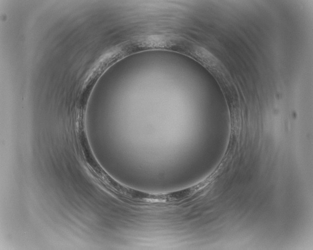 X0000055970167200508191216