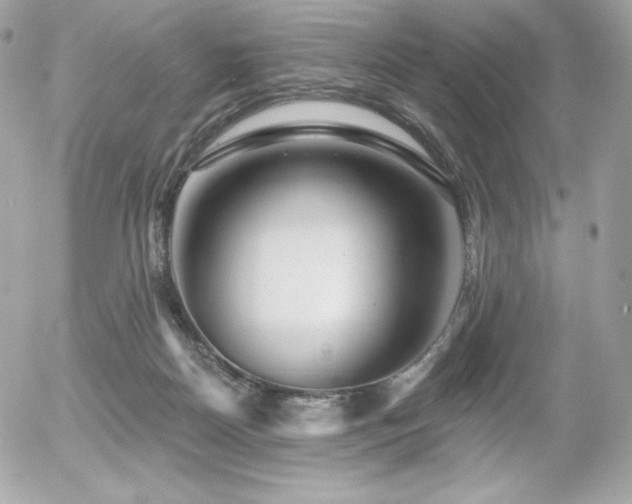X0000055970170200508191216