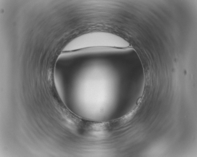 X0000055970178200508191216