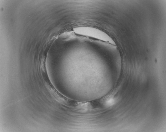 X0000055970185200508191217