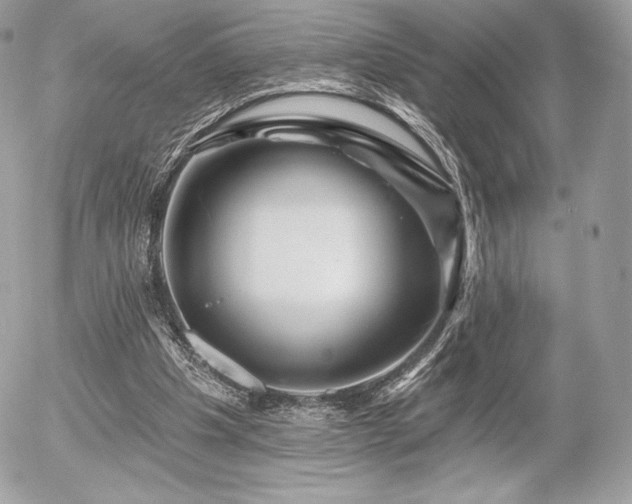 X0000055970201200508191216
