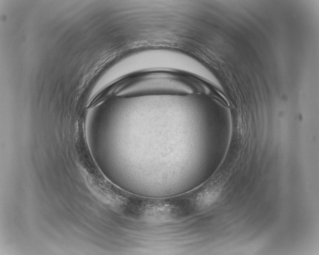 X0000055970206200508191216