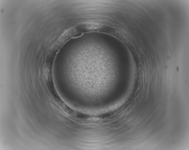X0000055970227200508191215