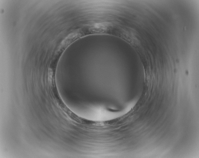X0000055970231200508191215