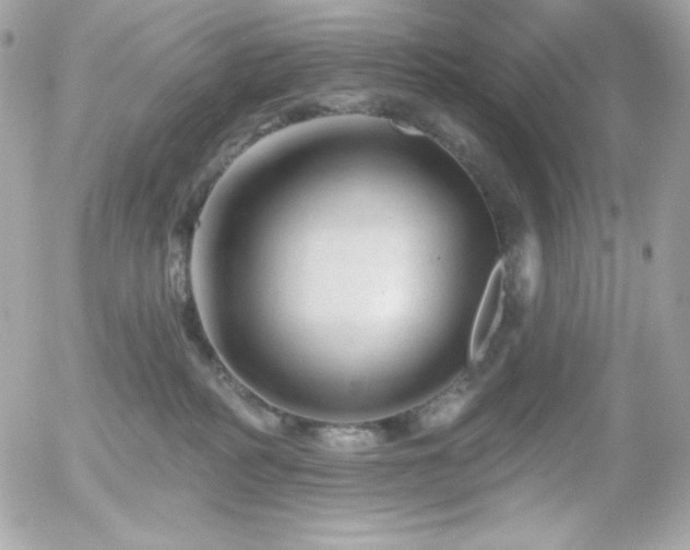 X0000055970234200508191215