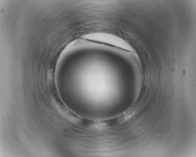 X0000055970278200508191215