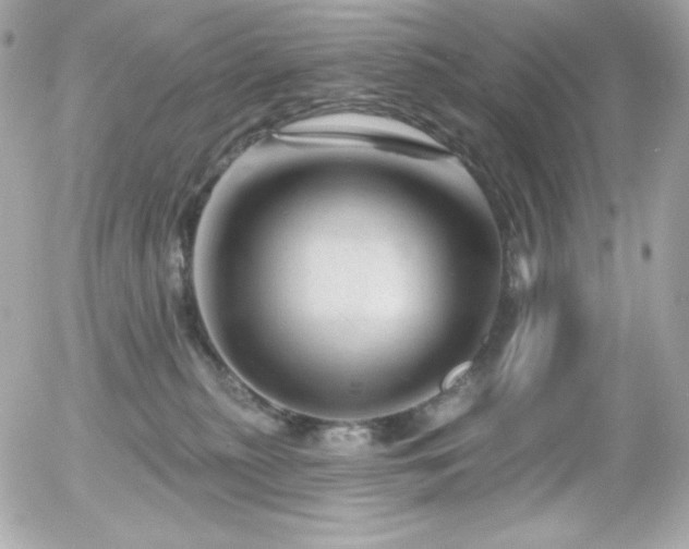 X0000055970279200508191215
