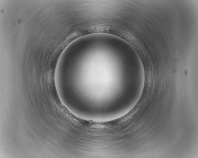 X0000055970326200508191214