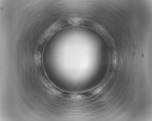 X0000055970332200508191214