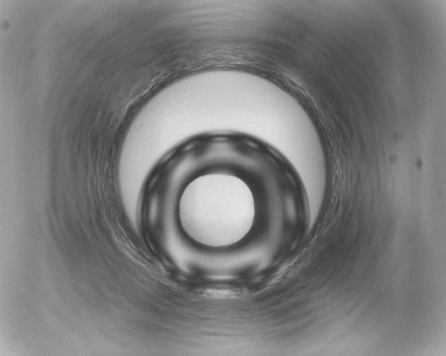 X0000055970362200508191213