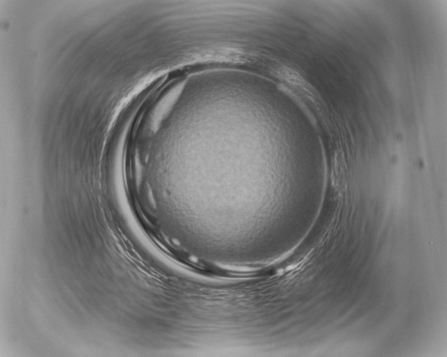 X0000055970388200508191213